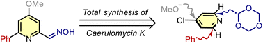 Graphical abstract: First total synthesis of caerulomycin K: a case study on selective, multiple C–H functionalizations of pyridines