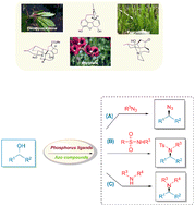 Graphical abstract: Mitsunobu reaction: assembling C–N bonds in chiral traditional Chinese medicine