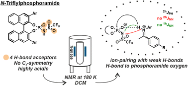 Graphical abstract: Highly acidic N-triflylphosphoramides as chiral Brønsted acid catalysts: the effect of weak hydrogen bonds and multiple acceptors on complex structures and aggregation