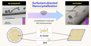 Graphical abstract: Controlled nanocrystallization of gold nanoclusters within surfactant envelopes: enhancing aggregation-induced emission in solution