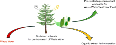 Graphical abstract: Finding suitable biobased solvents for extractions from water