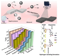 Graphical abstract: Tailoring of PVDF for retrieval of piezoelectric powders to optimize piezo-catalytic water treatment