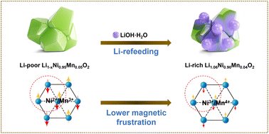 Graphical abstract: Mitigating magnetic frustration to improve single-crystalline nonstoichiometric Li1.06Ni0.90Mn0.04O2 for lithium-ion batteries