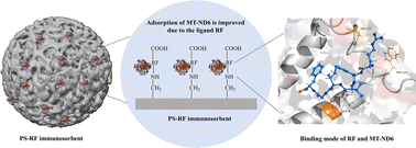 Graphical abstract: Computer-aided design of short peptide ligands targeting N-formyl peptide MT-ND6: potential application in treating severe inflammatory diseases