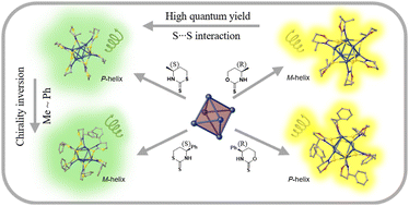 Graphical abstract: Ligand engineering of circularly polarized luminescence inversion and enhancement for chiral Ag6 nanoclusters