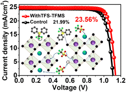 Graphical abstract: Surface-anchoring fluorinated sulfonate enables efficient and stable perovskite photovoltaics