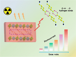 Graphical abstract: Centimeter-level double perovskite single crystals with strong interlaminar hydrogen bonds for high-performance X-ray detection