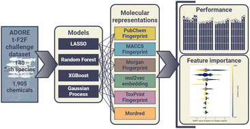 Graphical abstract: Machine learning-based prediction of fish acute mortality: implementation, interpretation, and regulatory relevance