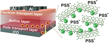 Graphical abstract: Nickel polyelectrolytes as hole transporting materials for organic and perovskite solar cell applications