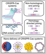 Graphical abstract: Nanotechnological approaches for the targeted delivery of CRISPR-Cas systems for genomic modifications, biomolecular sensing, and precision medicine