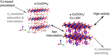 Graphical abstract: Five key concepts linking vacancies, structure, and oxygen evolution reaction activity in cobalt-based electrocatalysts
