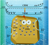 Graphical abstract: Facet-dependent spatial charge separation in a metal-doped SrTiO3 photocatalyst with visible light utilization