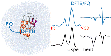 Graphical abstract: Modeling infrared and vibrational circular dichroism spectra of complex systems: the DFTB/fluctuating charges route