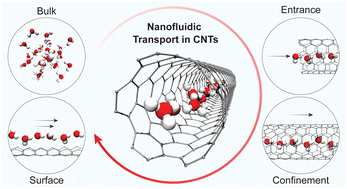 Graphical abstract: Carbon nanotube nanofluidics