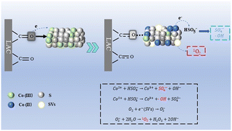Graphical abstract: Carbonyl-induced reduction from Co(iii) to Co(ii) in CoxSy enables sulfate radical-dominated peroxymonosulfate activation