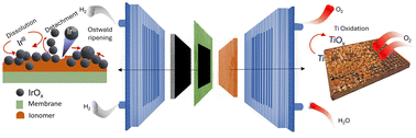 Graphical abstract: Exploring the degradation of catalyst layer and porous transport layer in proton exchange membrane water electrolyzers