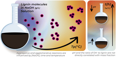 Graphical abstract: An empirical assessment of the physicochemical properties of lignin solutions in aqueous sodium hydroxide – corroboration and demystification of some widely accepted statements
