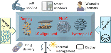 Graphical abstract: A critical overview of the influence of graphene and its analogues on nematic liquid crystals