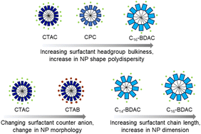 Graphical abstract: Elucidating the role of surfactant structural parameters in Au nanoparticle morphology