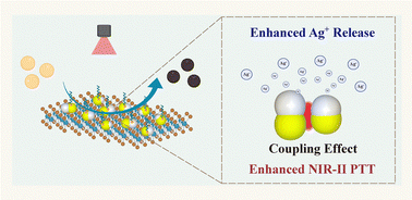 Graphical abstract: MoS2/Au–Ag@PEG nanosheets with plasmonic coupling effect-enhanced NIR-II photothermal therapy and silver ion release for combined treatment of MRSA infection
