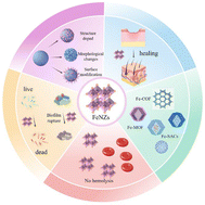 Graphical abstract: Applications of iron-based nanoenzymes in wound healing: antibacterial, anti-inflammatory, and wound-promoting effects