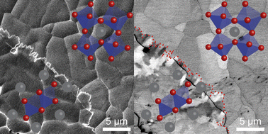 Graphical abstract: Nanoscale characterization of halide perovskite phase stability with scanning electron microscopy