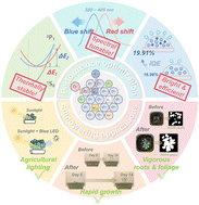 Graphical abstract: Beyond single-ion doping: K+–Bi3+ synergy enables crop-tailored blue luminescence through crystal field engineering