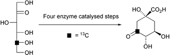 Graphical abstract: Enzymic synthesis of 3-[3-13C]dehydroquinic acid