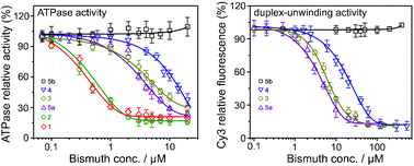 Graphical abstract: Inhibition of SARS coronavirus helicase by bismuth complexes