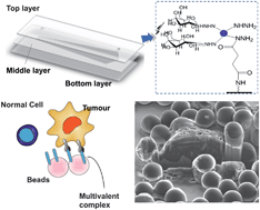 Graphical abstract: A facile in situ microfluidic method for creating multivalent surfaces: toward functional glycomics