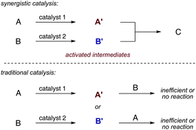 Graphical abstract: Synergistic catalysis: A powerful synthetic strategy for new reaction development