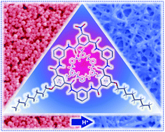 Graphical abstract: Controllable self-assembly of amphiphilic macrocycles into closed-shell and open-shell vesicles, nanotubes, and fibers