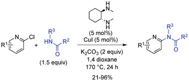 Graphical abstract: Copper-catalysed amidation of 2-chloro-pyridines