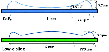 Graphical abstract: Transmission versus transflection mode in FTIR analysis of blood plasma: is the electric field standing wave effect the only reason for observed spectral distortions?