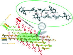 Graphical abstract: Exploration of the polymorph landscape for 1,1,4,4-tetraphenyl-1,3-butadiene