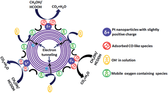 Graphical abstract: Significance of wall number on the carbon nanotube support-promoted electrocatalytic activity of Pt NPs towards methanol/formic acid oxidation reactions in direct alcohol fuel cells