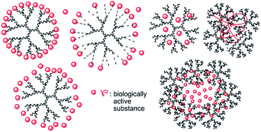 Graphical abstract: Dendrimers for drug delivery