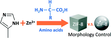 Graphical abstract: Amino acids as biomimetic crystallization agents for the synthesis of ZIF-8 particles