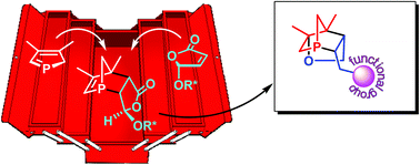 Graphical abstract: P-chiral 1-phosphanorbornenes: from asymmetric phospha-Diels–Alder reactions towards ligand design and functionalisation