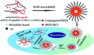 Graphical abstract: Co-delivery of doxorubicin and arsenite with reduction and pH dual-sensitive vesicle for synergistic cancer therapy