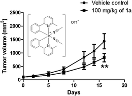 Graphical abstract: An iridium(iii)-based irreversible protein–protein interaction inhibitor of BRD4 as a potent anticancer agent