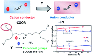 Graphical abstract: A single cation or anion dendrimer-based liquid electrolyte