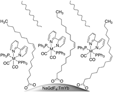 Graphical abstract: Using low-energy near infrared light and upconverting nanoparticles to trigger photoreactions within supramolecular assemblies