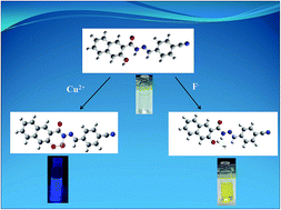 Graphical abstract: Selective chromo-fluorogenic molecular sensor for dual channel recognition of Cu2+ and F−: effect of functional group on selectivity