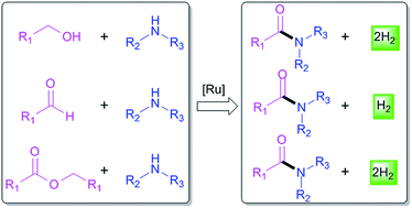 Graphical abstract: Atom-economic dehydrogenative amide synthesis via ruthenium catalysis