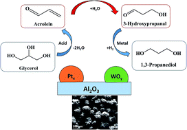 Graphical abstract: Catalytic glycerol hydrogenolysis to 1,3-propanediol in a gas–solid fluidized bed