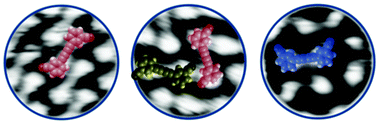 Graphical abstract: 2D Supramolecular networks of dibenzonitrilediacetylene on Ag(111) stabilized by intermolecular hydrogen bonding