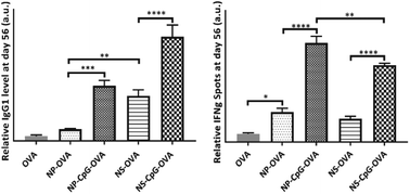 Graphical abstract: High adjuvant activity of layered double hydroxide nanoparticles and nanosheets in anti-tumour vaccine formulations