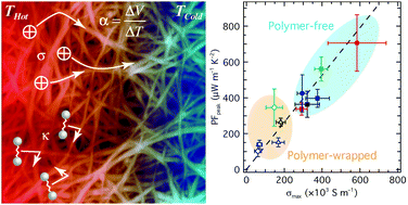 Graphical abstract: Large n- and p-type thermoelectric power factors from doped semiconducting single-walled carbon nanotube thin films