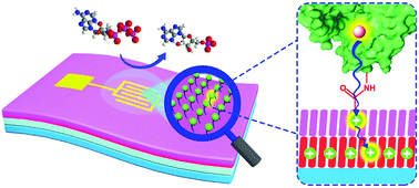 Graphical abstract: Molecular antenna tailored organic thin-film transistors for sensing application